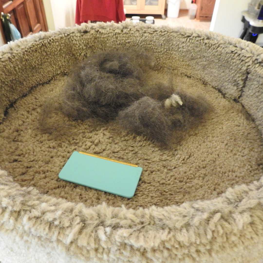 Effective Fur-Free Starter Kit- Uproot Mini, Pro & Xtra - Image 4