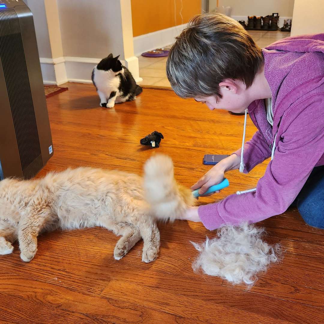 The Ultimate Uproot Clean Bundle - All Cleaners & Deshedder - Image 9