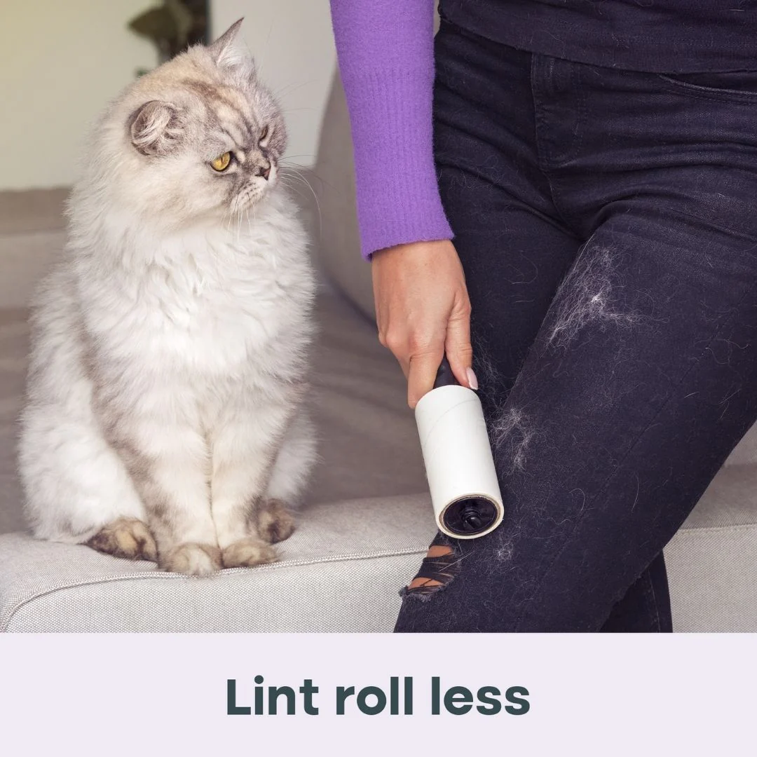 Uproot Dryer Sheets for Pet Owners - Summer Wisteria - Image 8