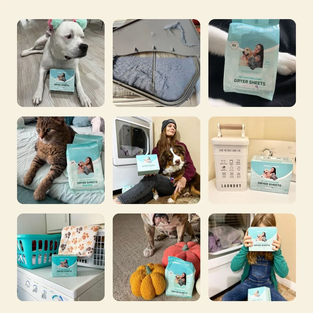 Uproot Dryer Sheets for Pet Owners - Summer Wisteria - Image 9