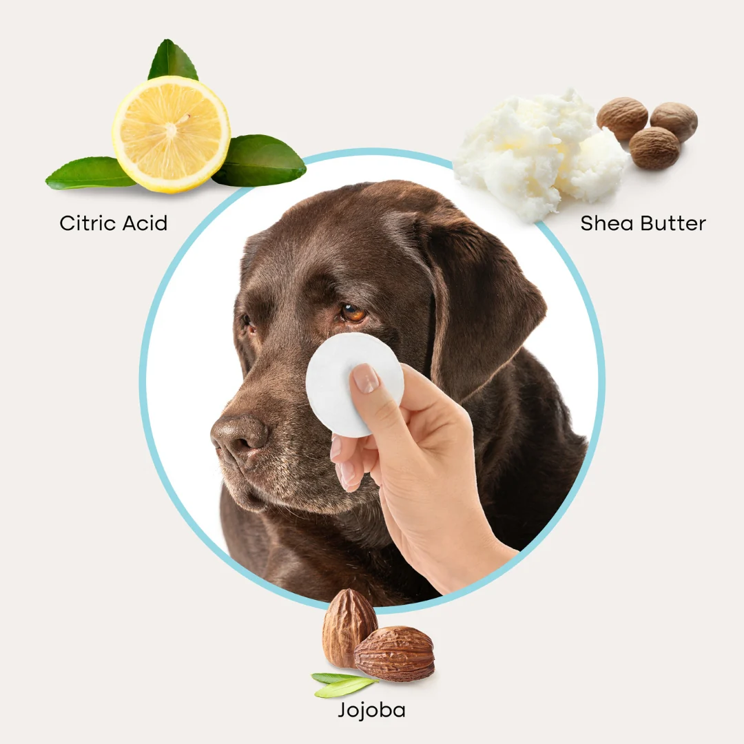 Uproot Eye Wipe Pads - Image 4