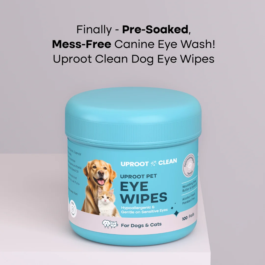 Uproot Eye Wipe Pads - Image 7