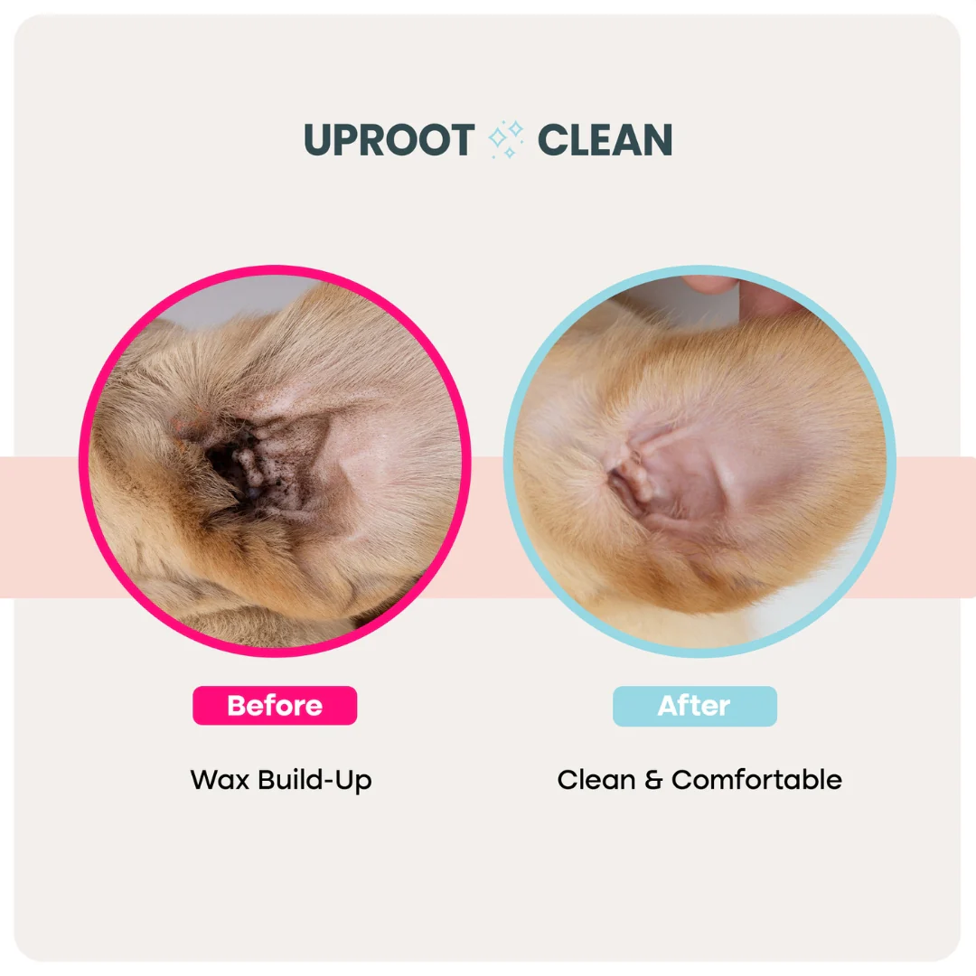 Uproot Pet Care Bundle - Image 3