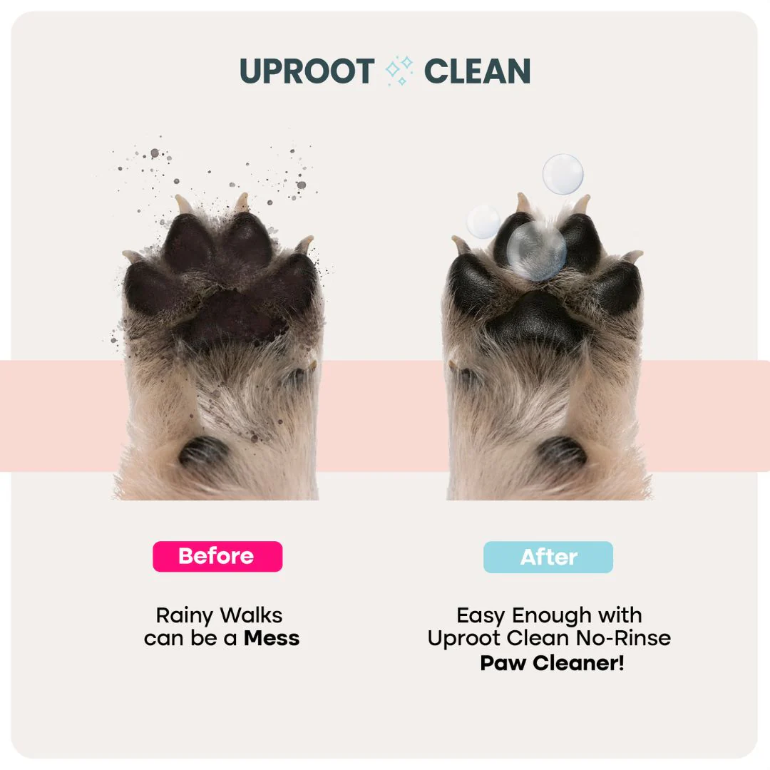 Uproot Pet Care Bundle - Image 5
