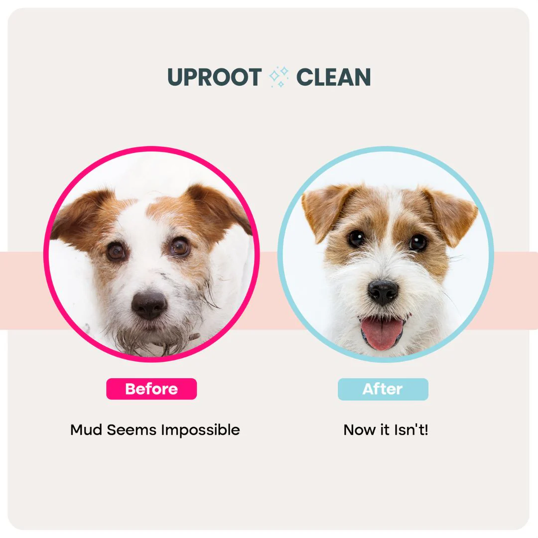 Uproot Pet Care Bundle - Image 9