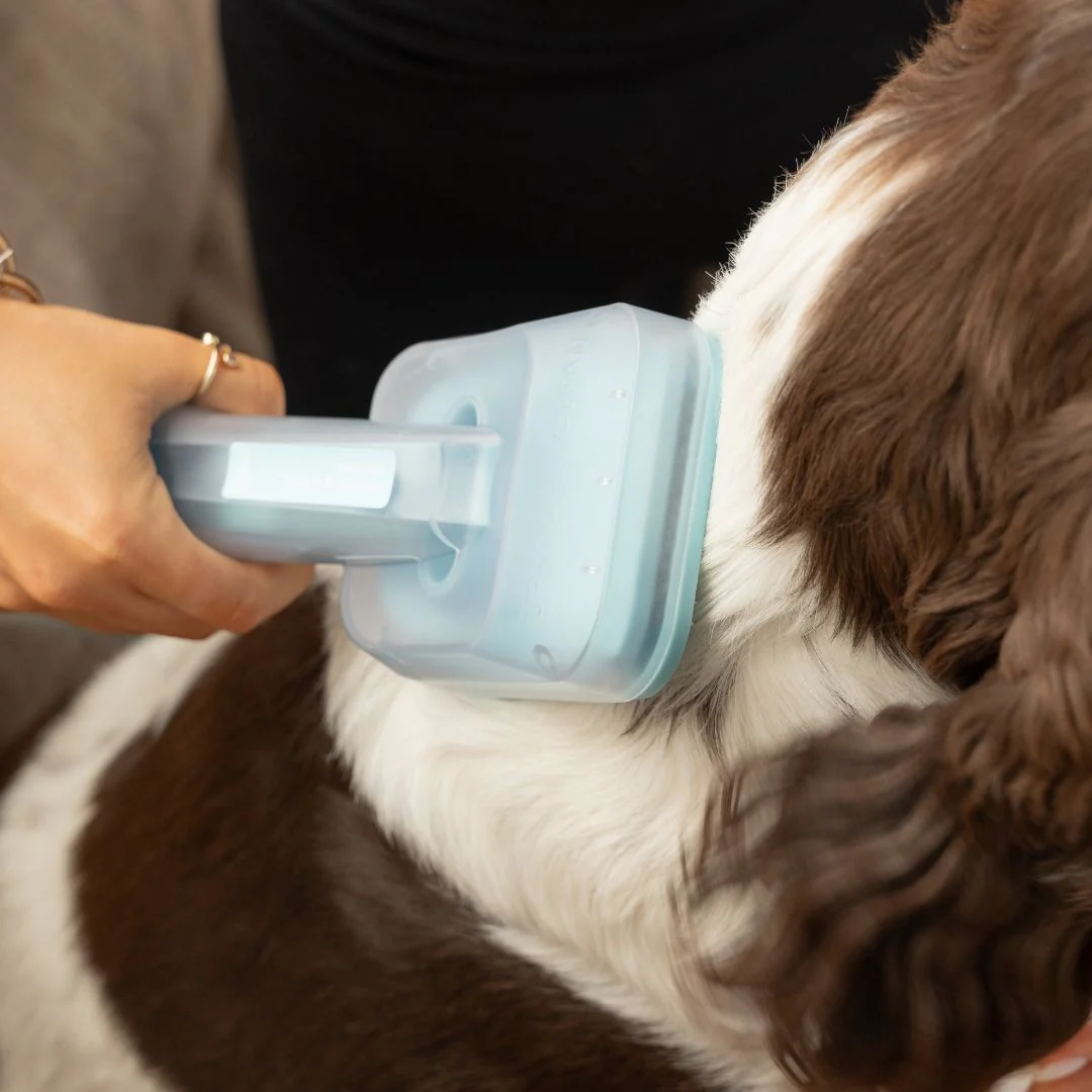 Uproot Pet Grooming Kit - Image 11