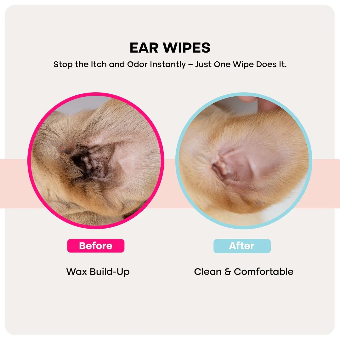 Uproot PureCare™ Kit - Image 2